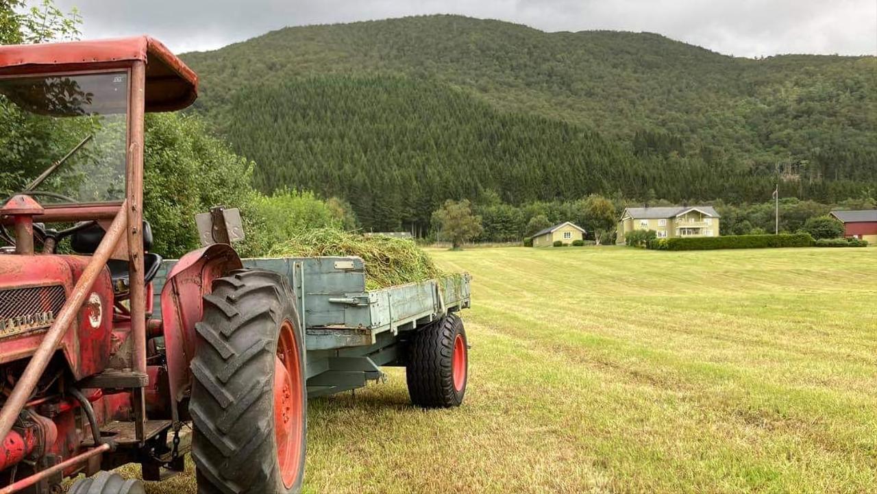 Rodseth Gardsovernatting Dobbeltrom Molde Zewnętrze zdjęcie